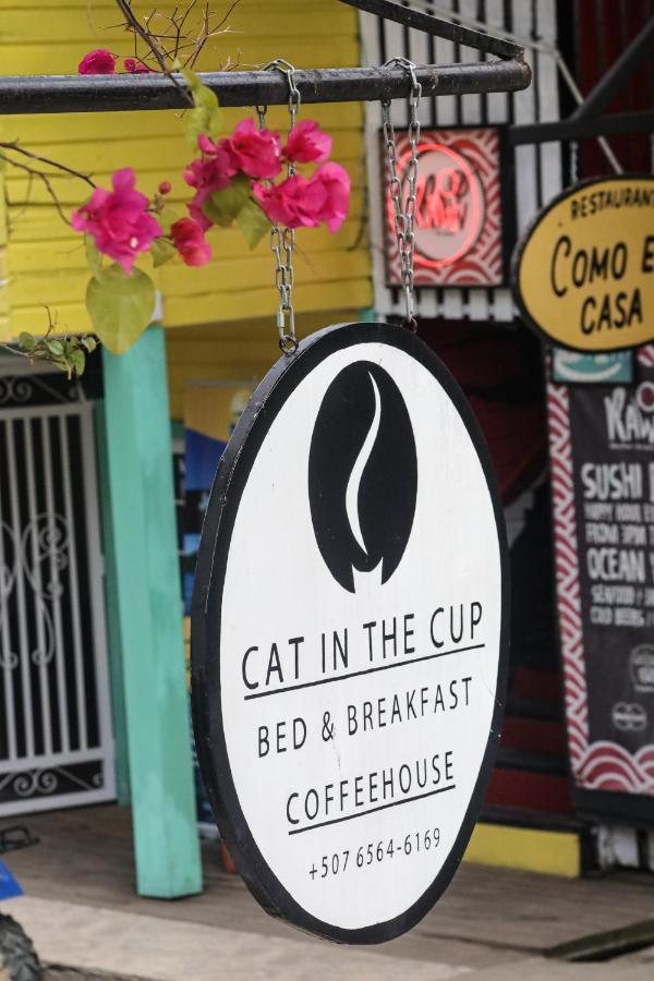 Cat In The Cup B&B Bocas del Toro Exteriér fotografie